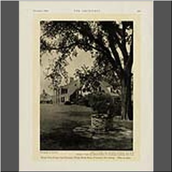 Unable to load Image